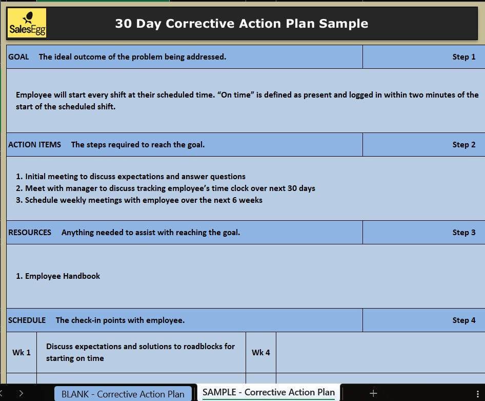 30-Day Corrective Action Plan Template