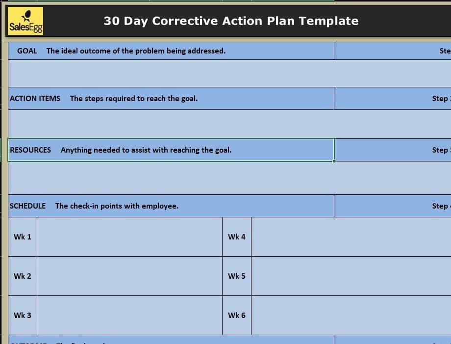 30-Day Corrective Action Plan Template