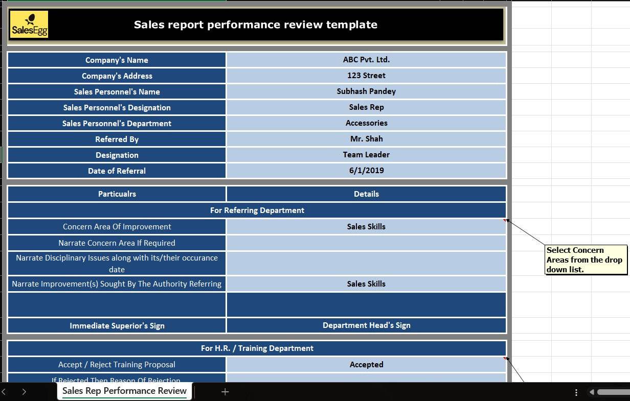 Sales Rep Performance Review