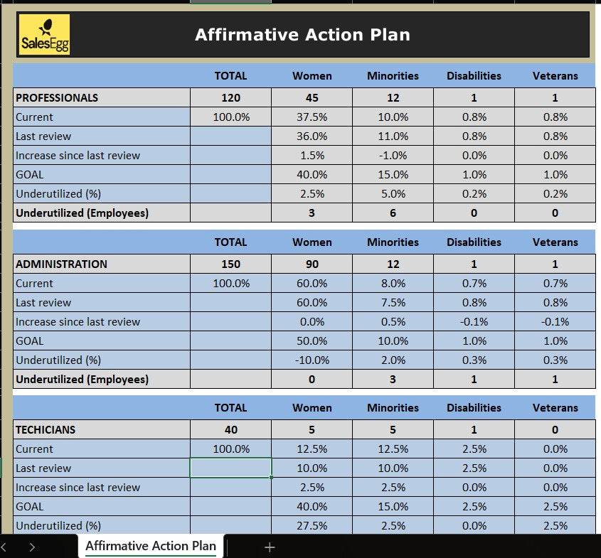 Affirmative Action Plan Excel Template