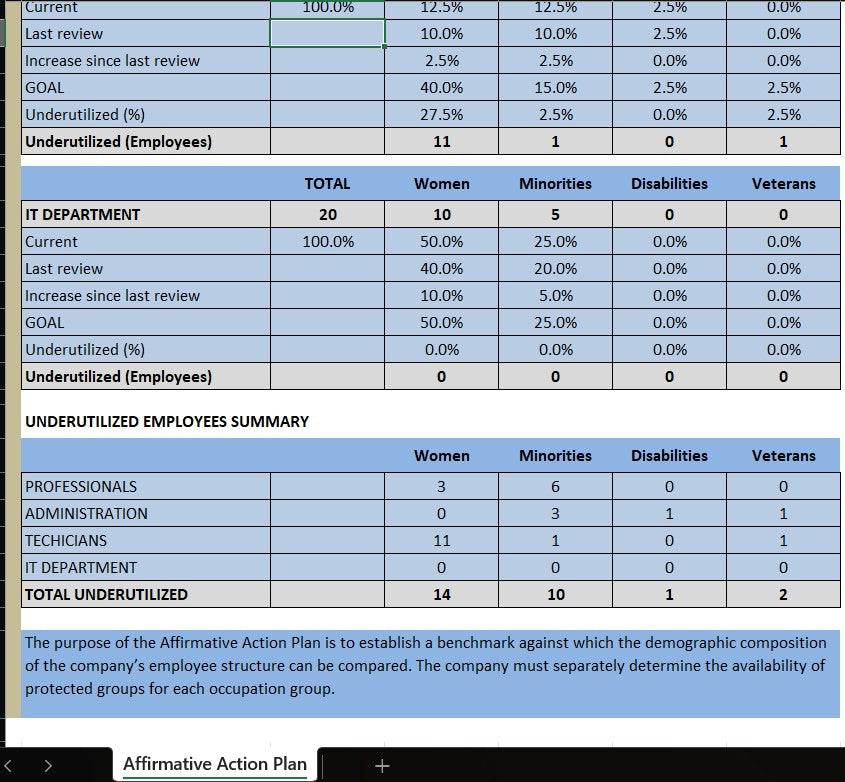 Affirmative Action Plan Excel Template