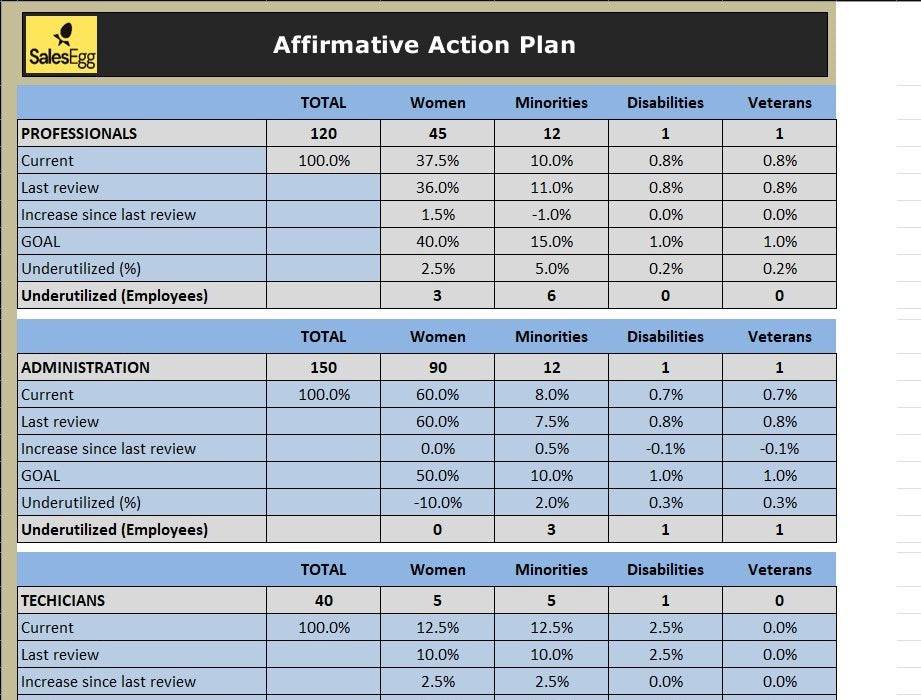 Affirmative Action Plan Excel Template