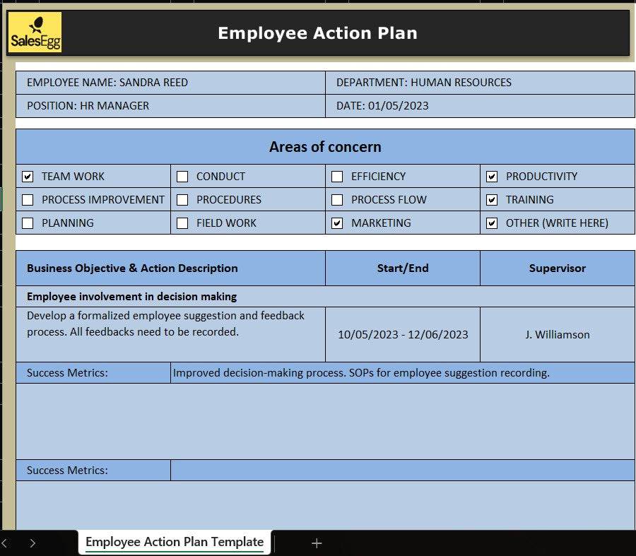 Employee Action Plan Template