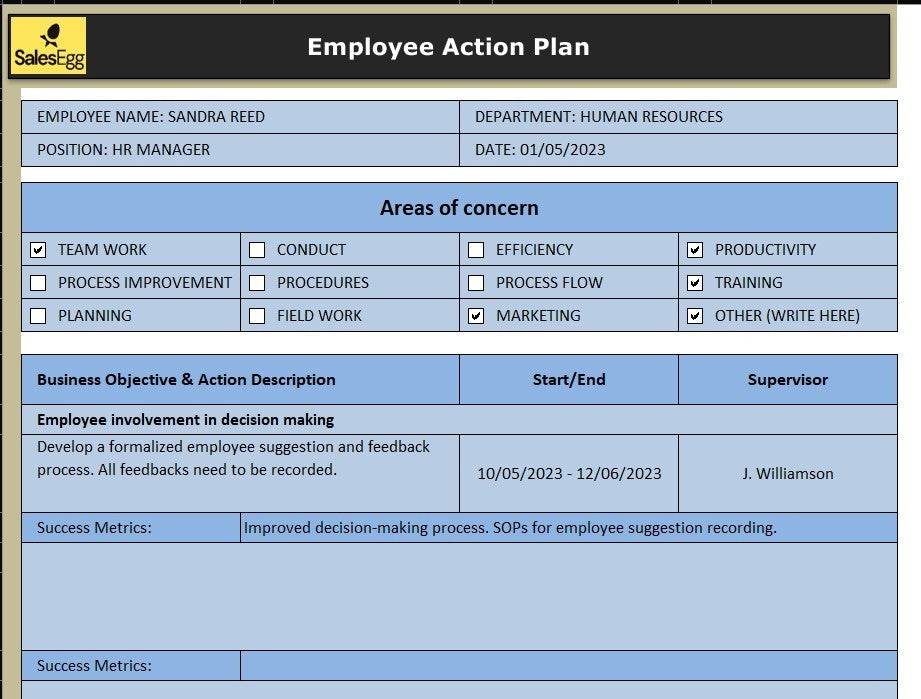 Employee Action Plan Template