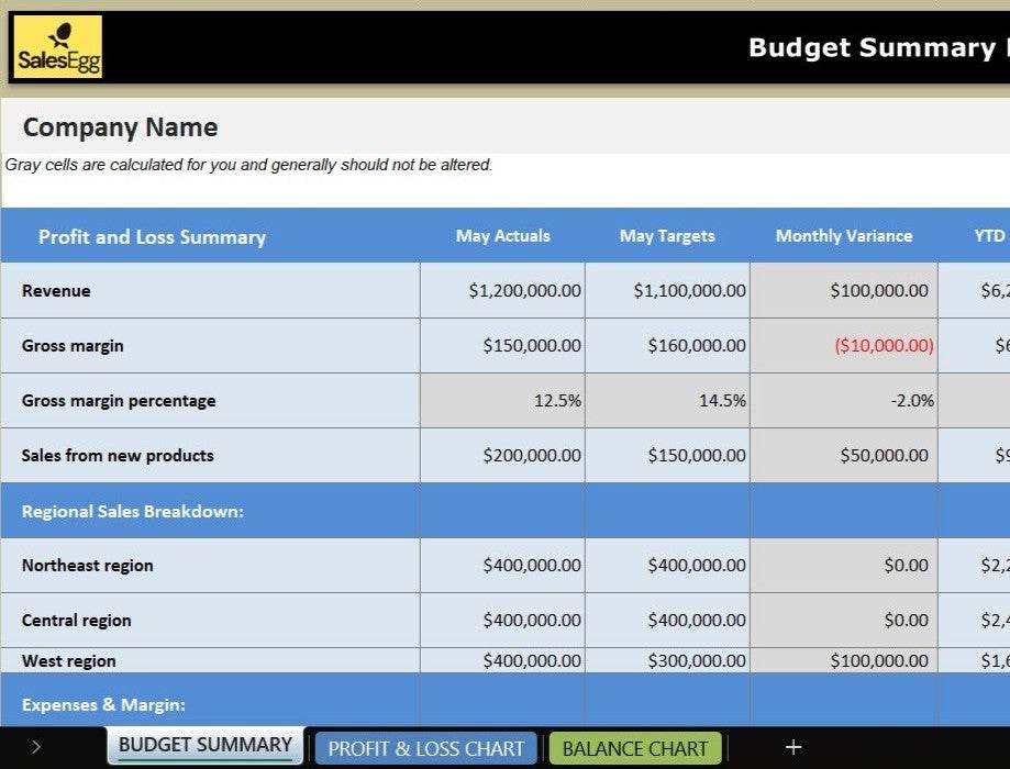Budget summary Report