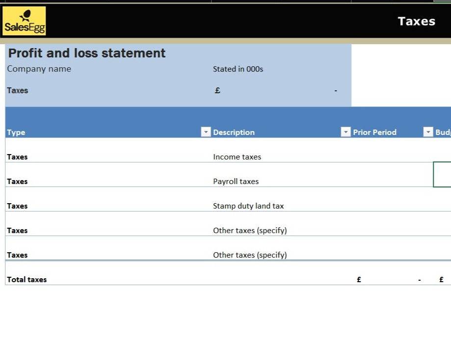 Profit And Loss Statement with Logo