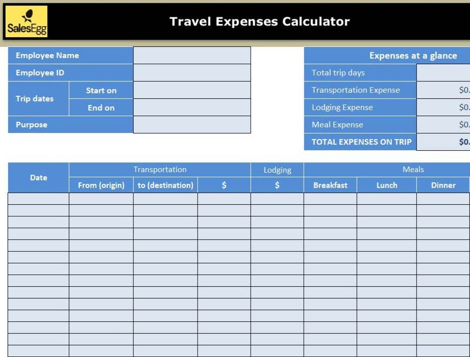 Business Travel Expense Log